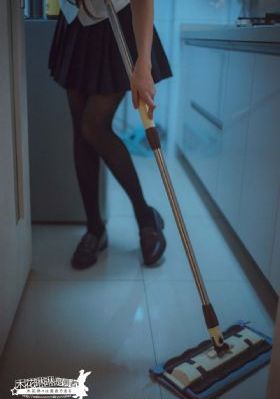 女侠对战采花贼的故事情节